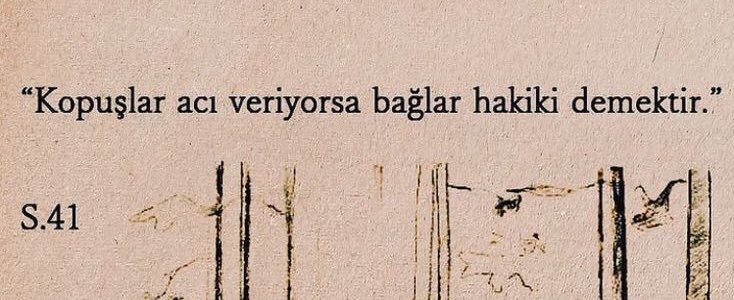 77. Sayfa tweet media