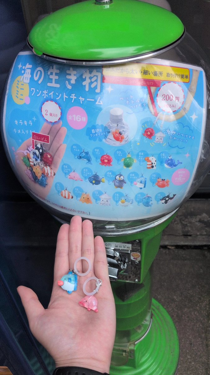 あ゛？？？ tweet media