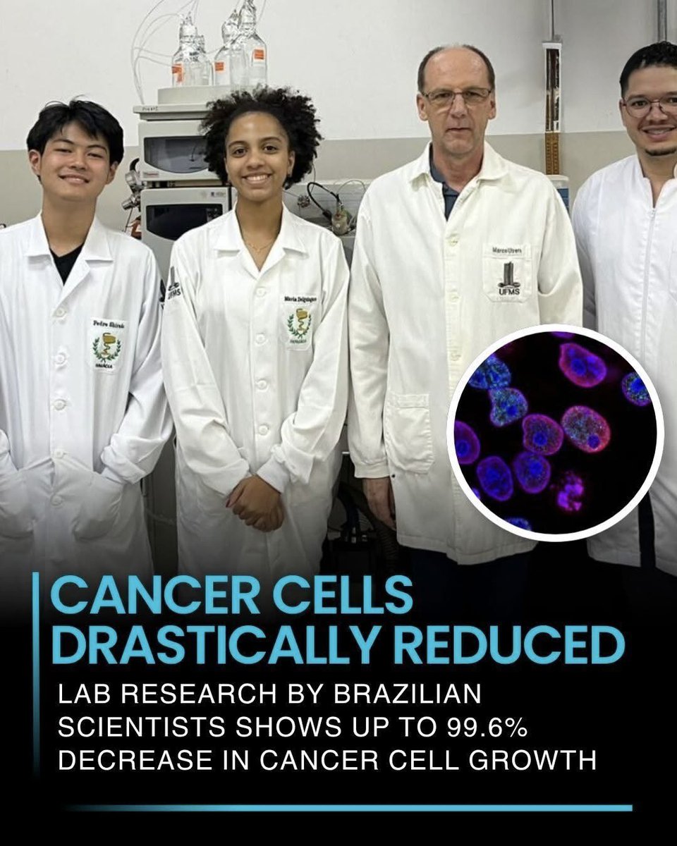 NextScience's tweet photo. 🚨 A 99.6% Drop in Cancer Cell Growth? 

Brazilian researchers have revealed a remarkable cancer breakthrough. In laboratory tests, their new approach reduced cancer cell growth by up to 99.6%, raising hopes for more precise treatments that target tumors while leaving healthy cells largely unharmed.

The results are still early and limited to lab studies, but scientists believe this could be an important step toward future cancer therapies. Now, the big question remains: can these results be successfully replicated in human trials?

Source:
Brazilian cancer research study. (n.d.). Laboratory findings on cancer cell growth reduction.