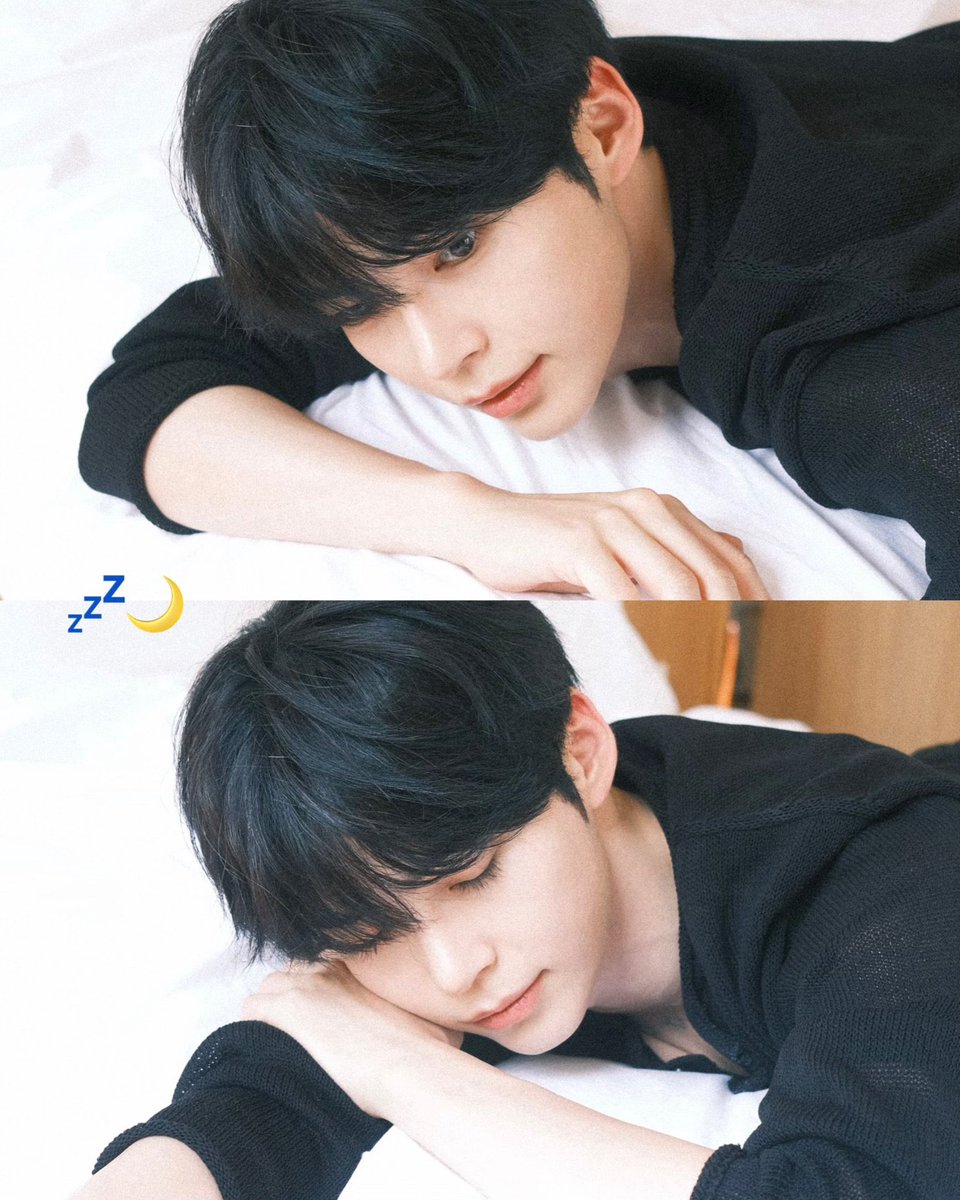 냥콩 tweet media