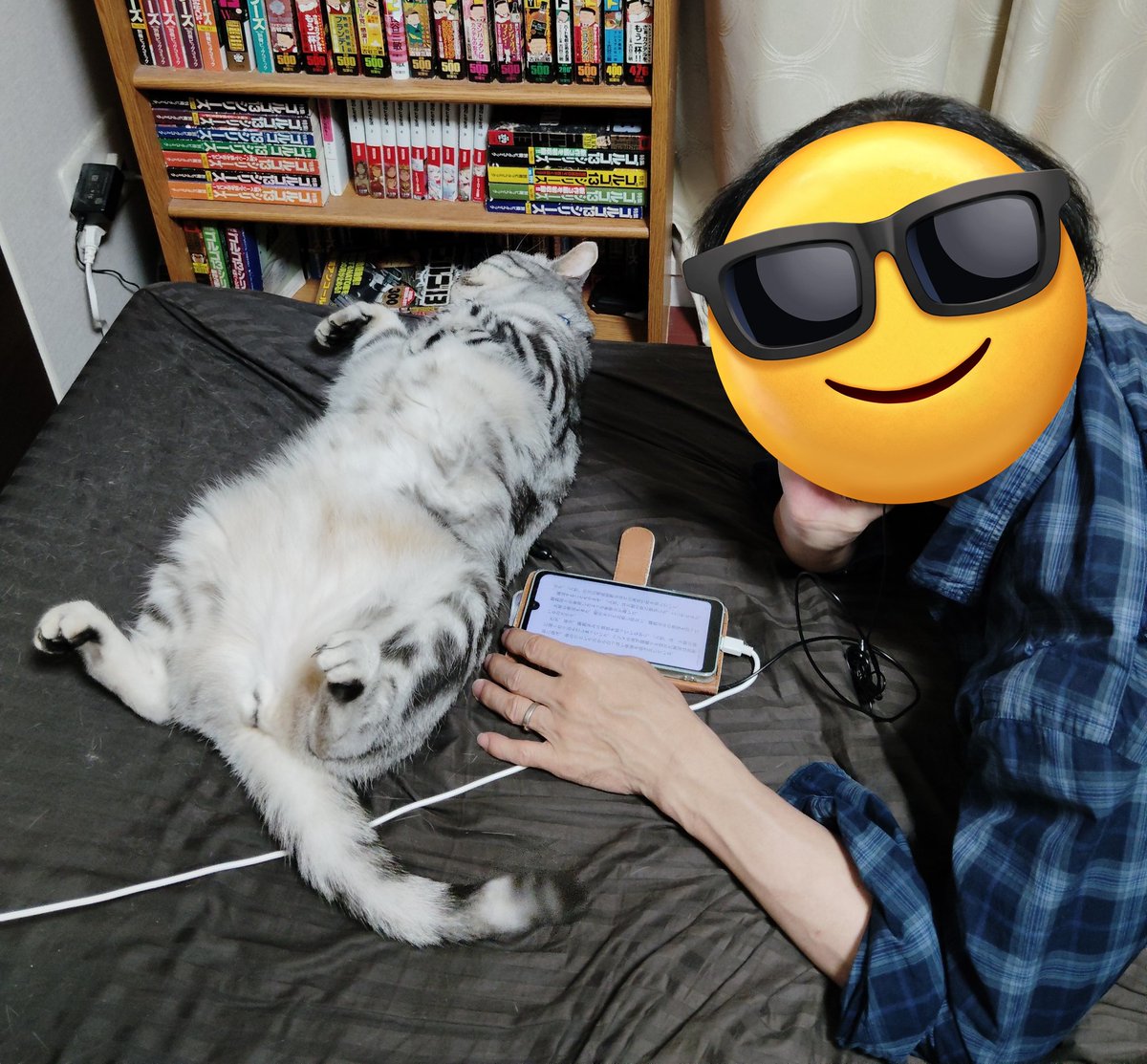 ochagochan's tweet photo. 夫は毎晩ペンタに寝床を奪われベッドからかなり足をはみ出してペンタのシッポにペシペシされながら寝ています😂
とっても猫ちゃんファーストな夫です。

そして私はコロコロをかけますが気づいたらシーツはいつも毛むくじゃらです😅 https://t.co/dKFz870xJo