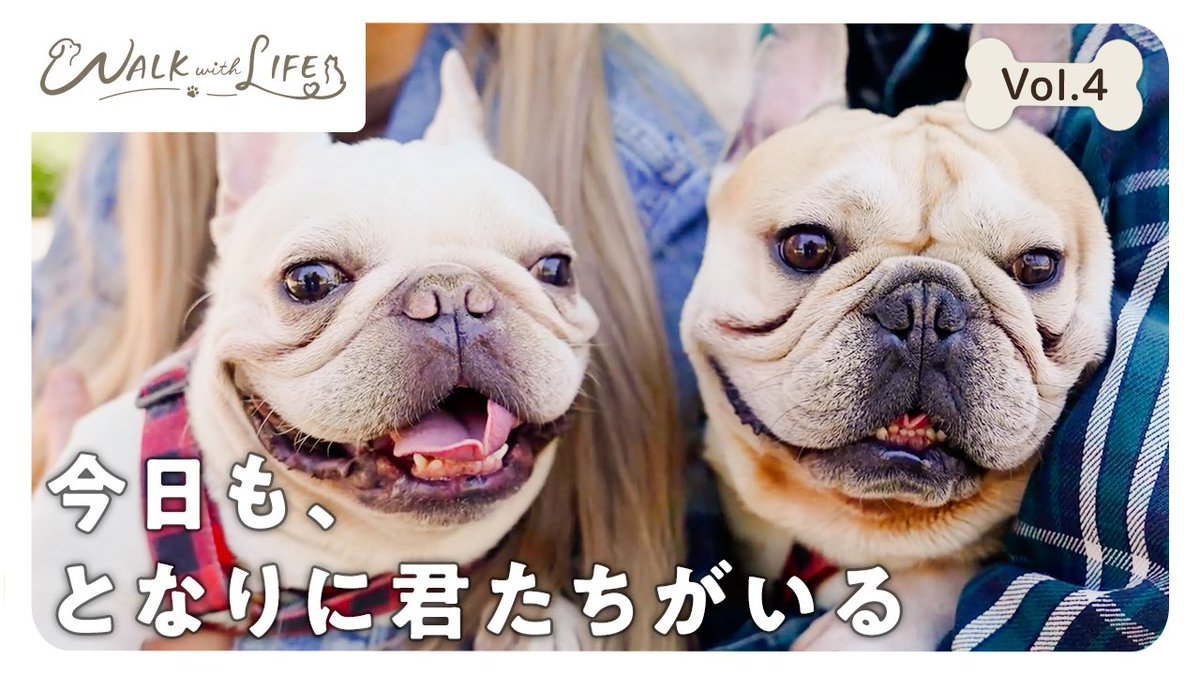 wwl__official's tweet photo. 第4回ゲストは、大阪・中津で美容室を営むJUNさんご夫婦と、フレンチブルドッグのリックくん（7歳）・アメリくん（4歳）🐶「この子たちと出会ってから、笑顔が増えた。」
看板犬として活躍する2匹との、かけがえのない日常をぜひご覧ください🐾#WALKwithLIFE #犬 #ペット #癒し #散歩 #愛犬との暮らし https://t.co/OtXgI4BPbQ
