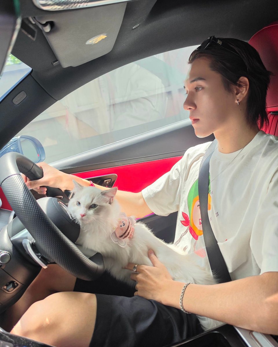 forskynani_'s tweet photo. hirunkit_ IG
🔗 https://t.co/Q7F3aGAe3O

Noah‘s day 😸

#callmeNOAHkub
#hirunkit_ https://t.co/avEyoArn2m