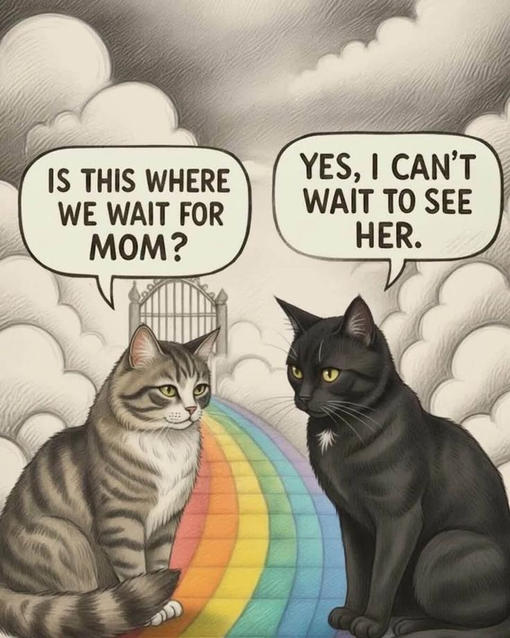 Thepetsonly's tweet photo. https://t.co/Rq44loxbIf