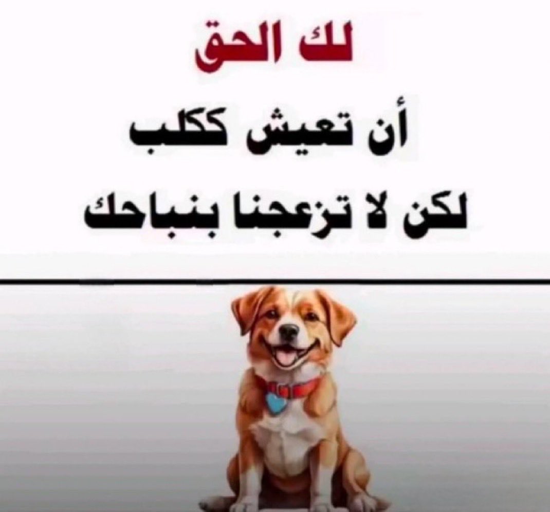 hamdan1428's tweet photo. @mu7anak https://t.co/P7aWm63wLa