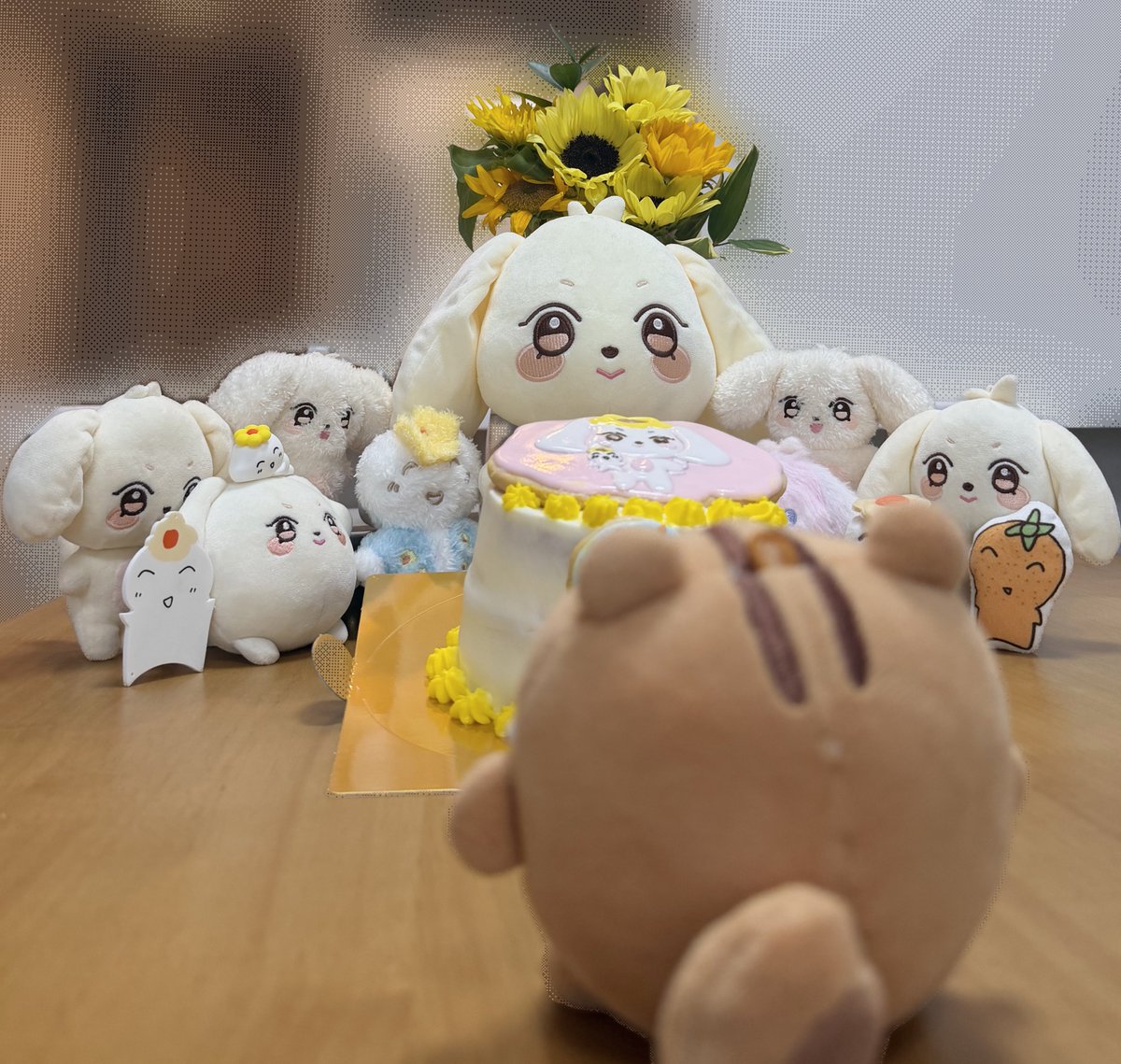 nirakodom8's tweet photo. 先陣を切って撮影指導をしていた丸ラミ、たぶん「左のヘモﾁｬ〜お顔あげてﾖ〜」って言ってる https://t.co/MVEx0kPAys