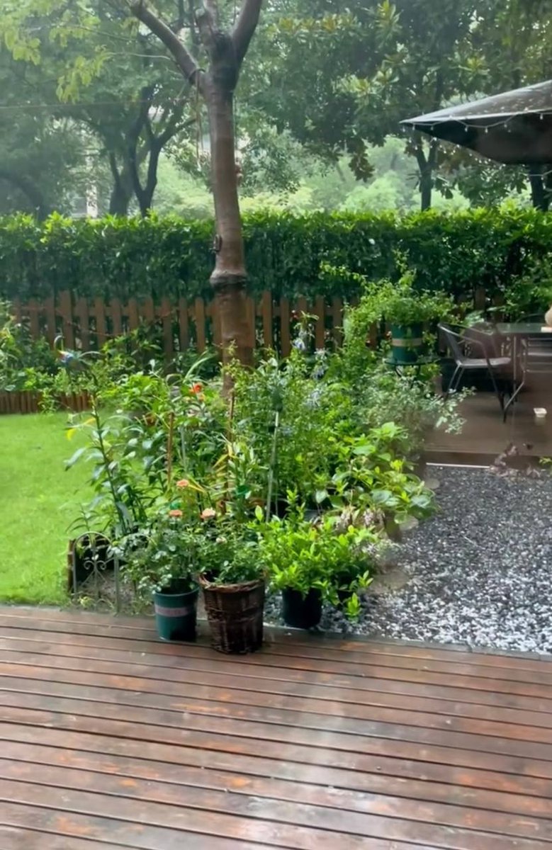 SaddamHAC's tweet photo. 雨が庭の緑に落ちていき、時間までも静かになっていく。
猫はテーブルのそばで気ままに横たわり、お茶はまだほんのりと温かい https://t.co/d7qLutwsUw