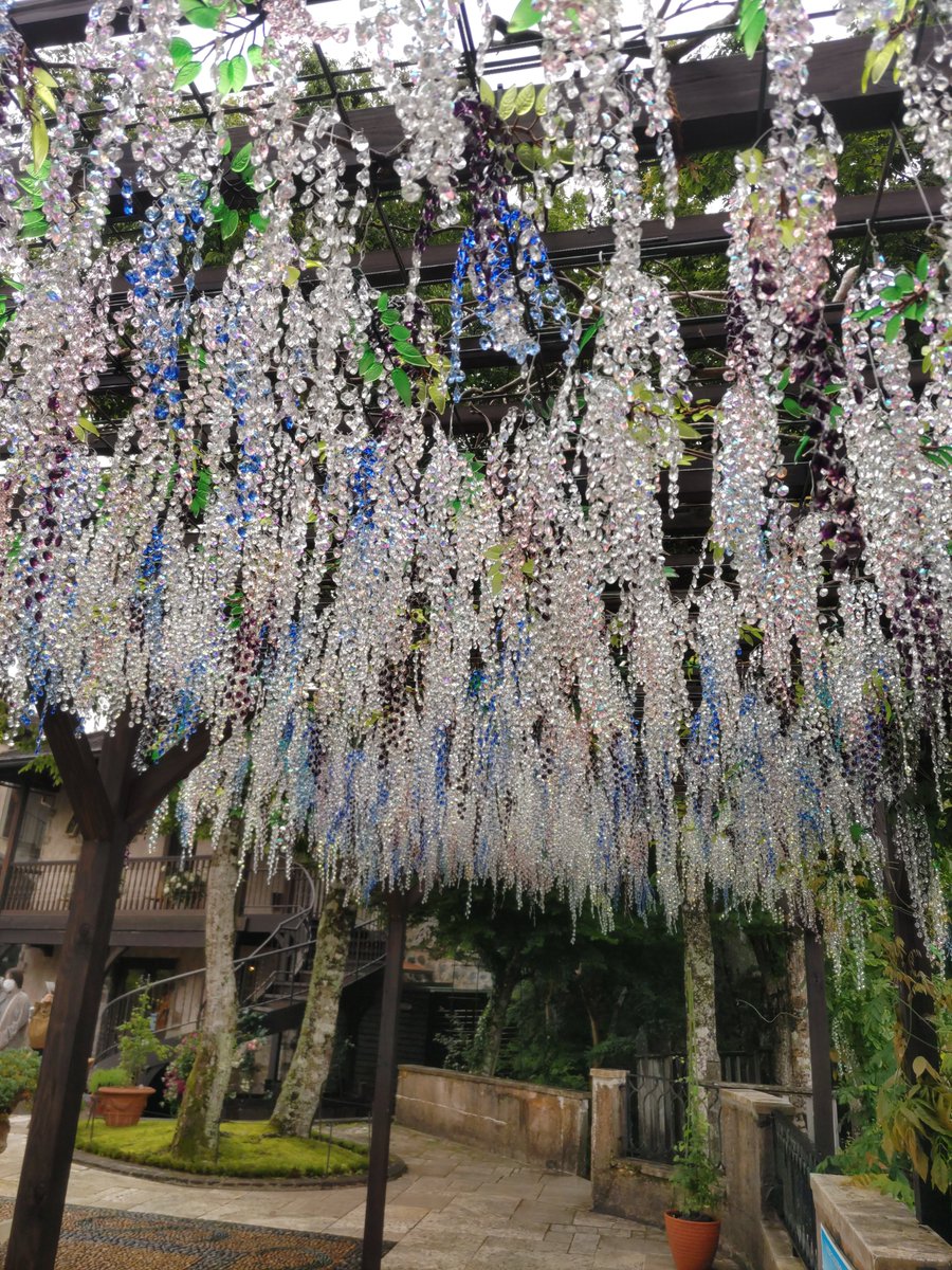 misia335's tweet photo. ガラスの花🌹 https://t.co/zC1Sy9CZ9H