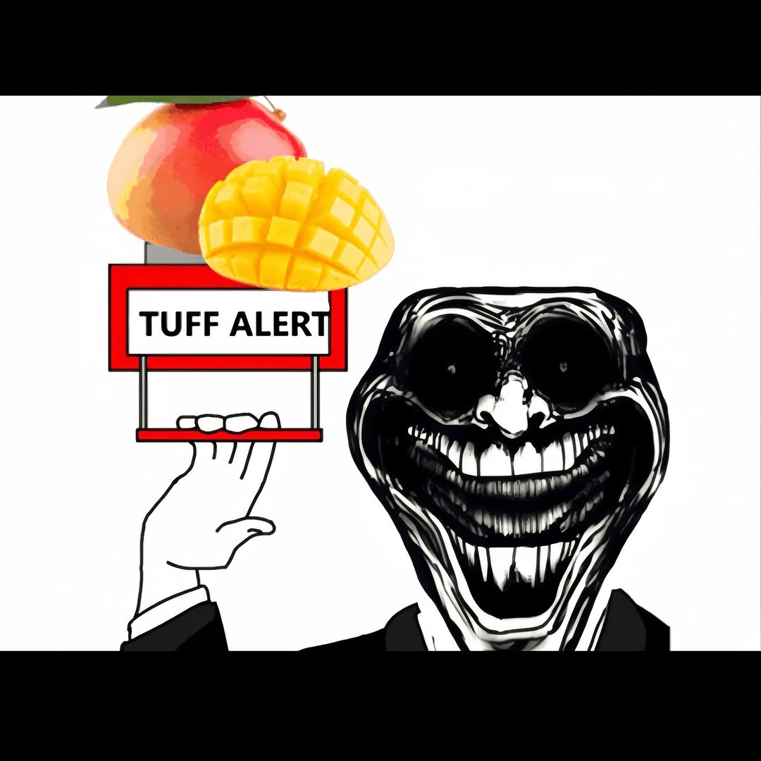anonymous tweet media