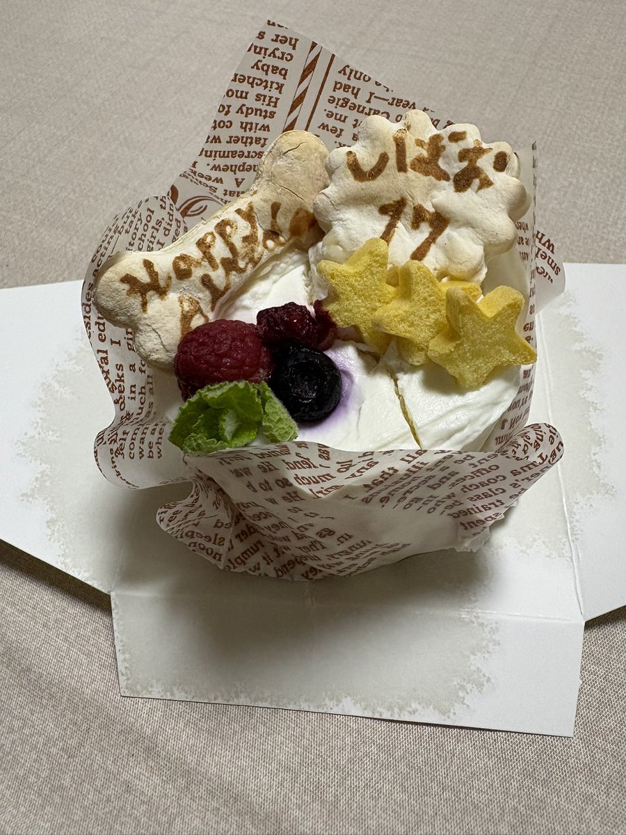 umbilical_xx's tweet photo. 今日は17歳の誕生日🎂
元気でいてくれてありがとう🥺

#柴犬 #老犬 #柴犬のいる暮らし #秘密結社老犬倶楽部 #shibainu https://t.co/a4047Zh17w