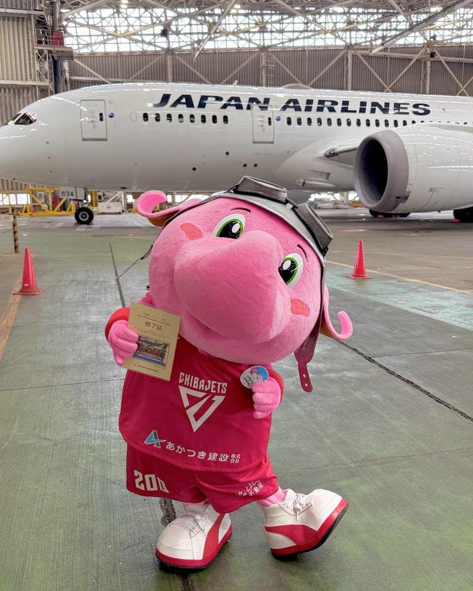 Jumbokun_GOJETS's tweet photo. しょうらいね、りっぱなパイロットになれるよ！って #JAL のみなさんにいってもらえたの。ぼく、うれしいゾウ！！るん♪
@JAL_Official_jp @JALs_now https://t.co/gV6guJiZzE
