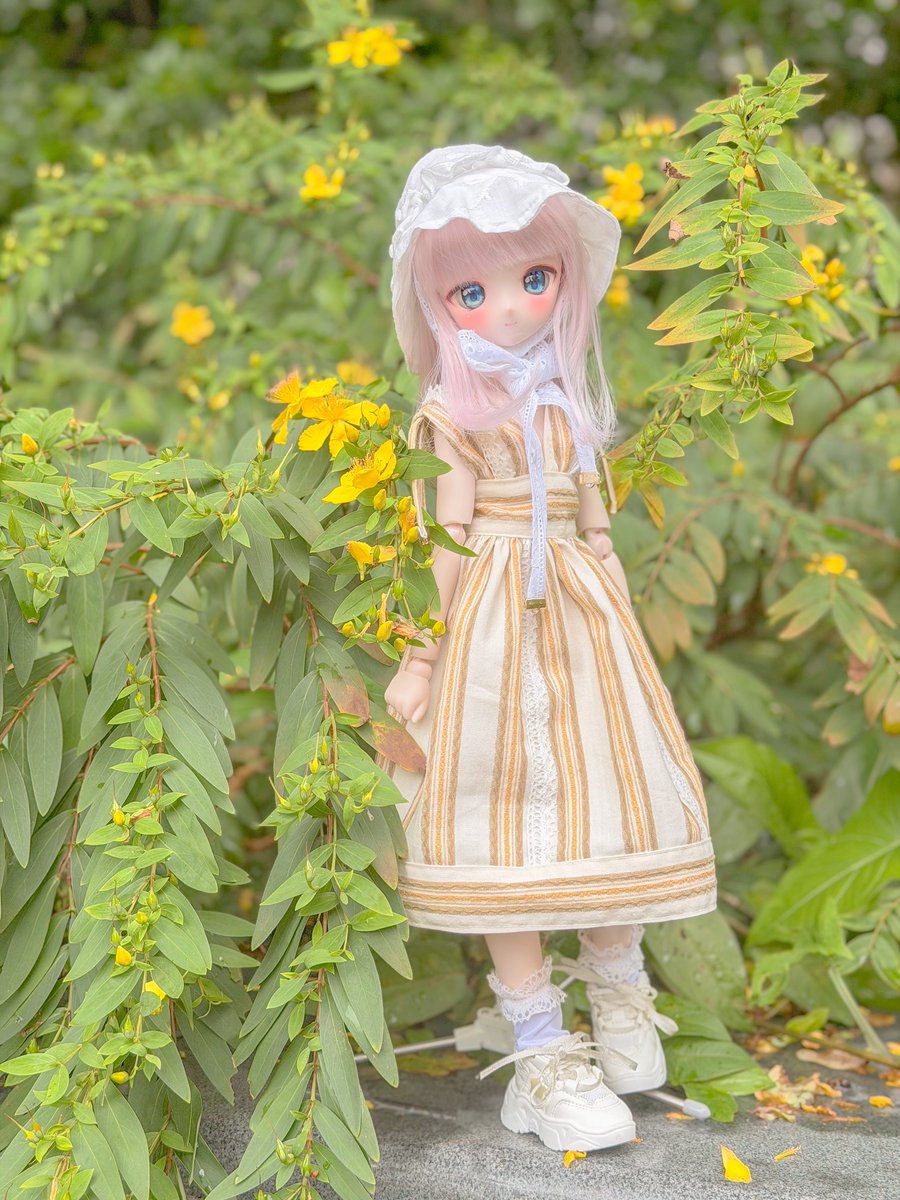 caramelappledd's tweet photo. リボン結びもかわいい𑁊^. .^𑁊♩ https://t.co/jDAaBWo5kf