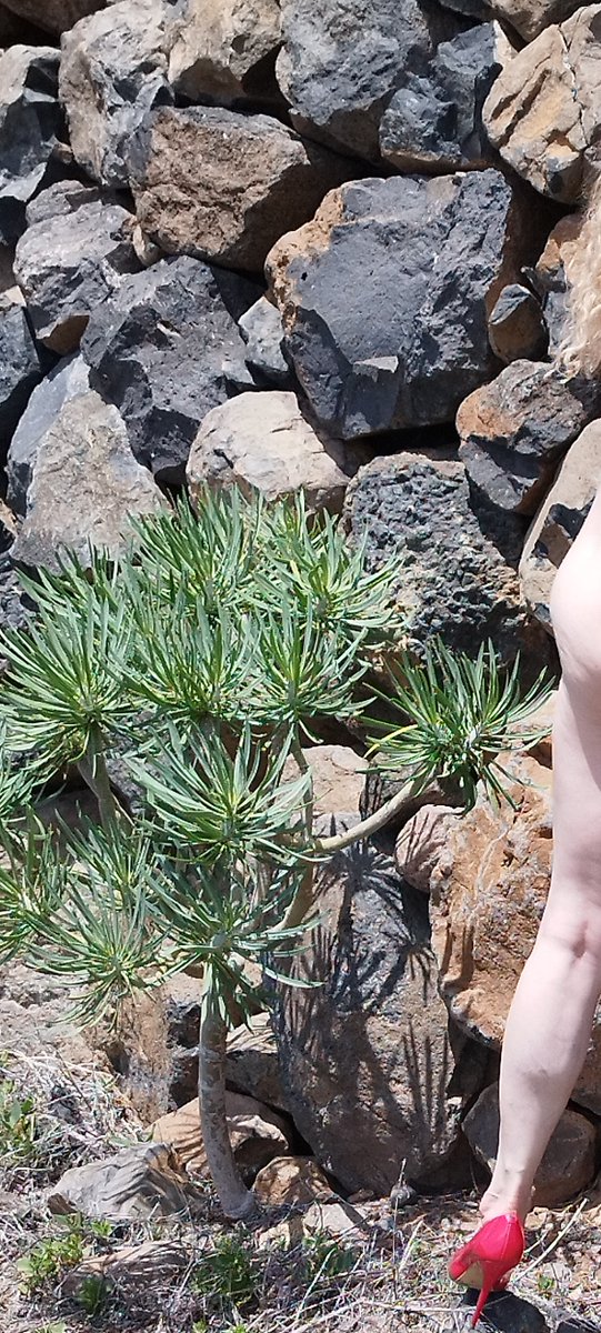 RexRouget's tweet photo. Tenerife Rocks - same #photoshoot The textures, colours and solidness of the #volcanic rocks contrast with the model's smooth, pale-coloured skin and shape. And the local #fauna joined in too Photographer #RR Model https://t.co/zKY9gHPAsz #photo #Tenerife #naturism https://t.co/58SKASDdcn