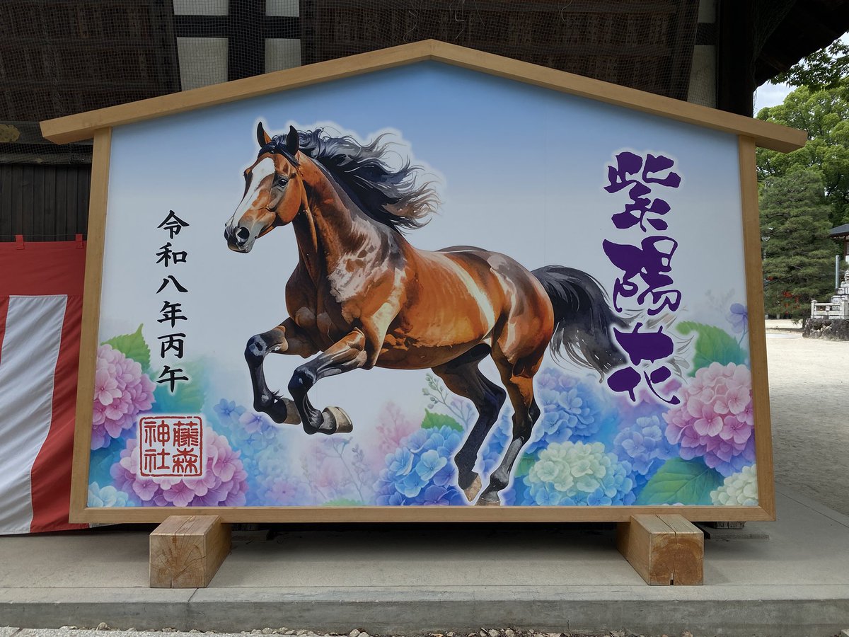 kkns_tk's tweet photo. 今年はわたくし、節目の年齢でして。紫陽花の季節でもあり、近くて遠かったこちらへ行って、元気で過ごせるようお願いしてきました⛩️🙏自分が元気でなきゃ何も始まらない。趣味も推し活も🎵てな事で、推しの皆様方の事までは気が回らず😅紫陽花、綺麗でした〜😊 https://t.co/kFaLWT1LGT