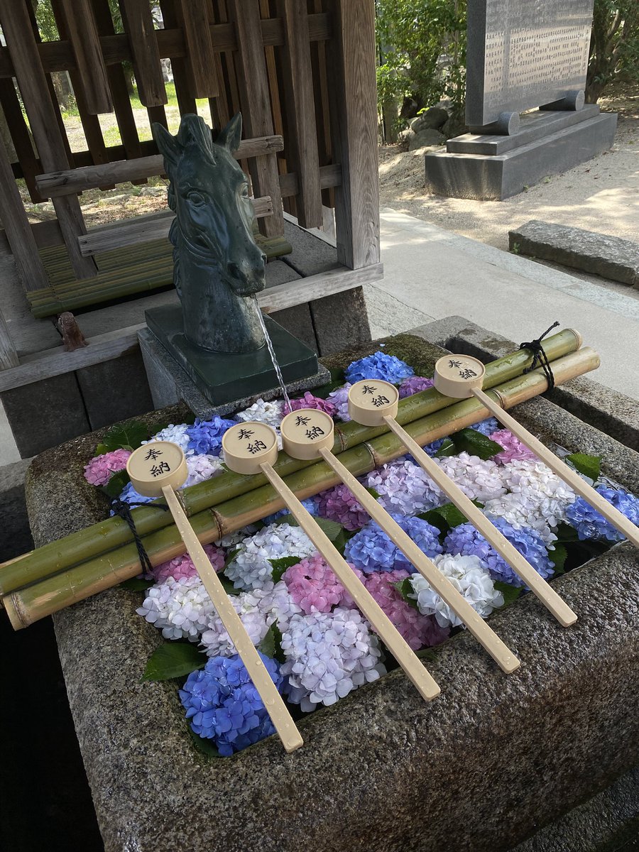 kkns_tk's tweet photo. 今年はわたくし、節目の年齢でして。紫陽花の季節でもあり、近くて遠かったこちらへ行って、元気で過ごせるようお願いしてきました⛩️🙏自分が元気でなきゃ何も始まらない。趣味も推し活も🎵てな事で、推しの皆様方の事までは気が回らず😅紫陽花、綺麗でした〜😊 https://t.co/kFaLWT1LGT