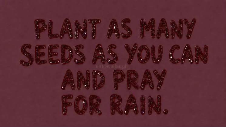 BongsMahlangu_'s tweet photo. Abundance favours persistence🪡 https://t.co/O9Z1T2Hh8Z