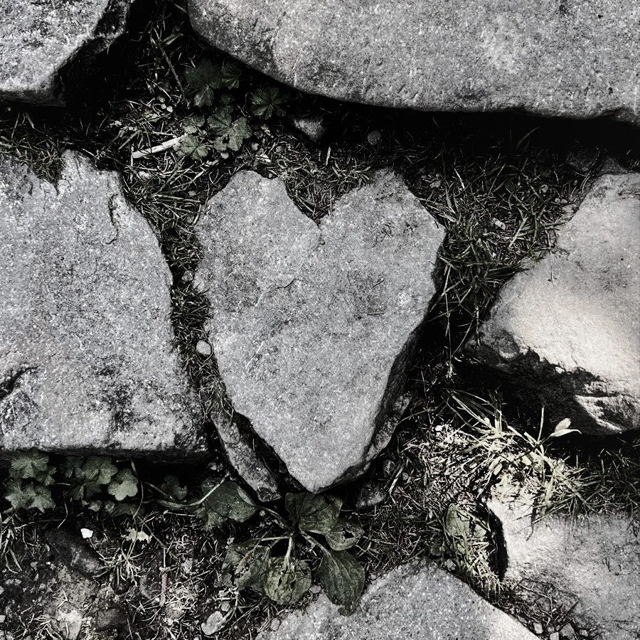 ghostinveins's tweet photo. ͏ ͏ ͏ ͏ ͏ ͏ ͏ ͏ ͏ ͏ ͏ ͏ ͏ ͏ ͏͏ https://t.co/ukOWl4eDa6