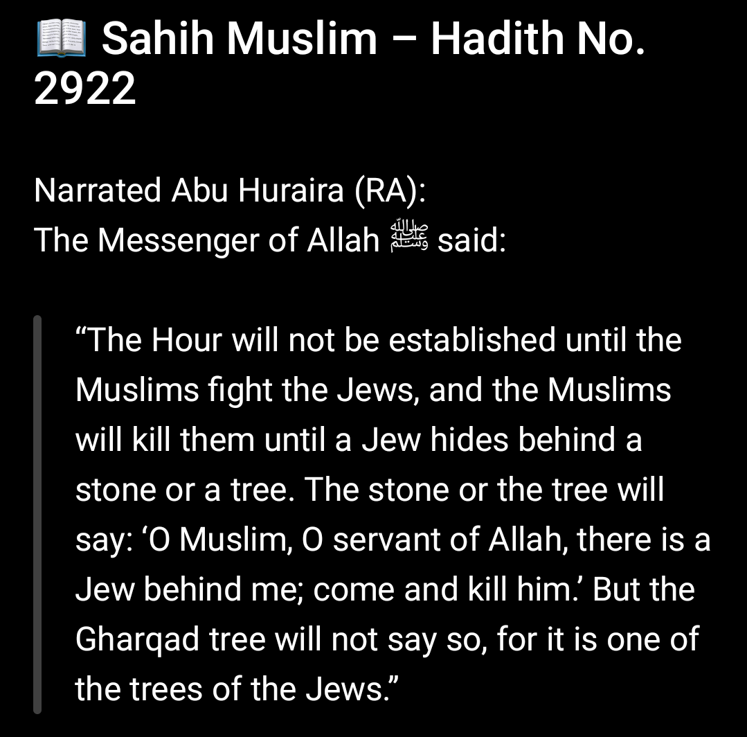 Ayaat Islamist⚔️ tweet media