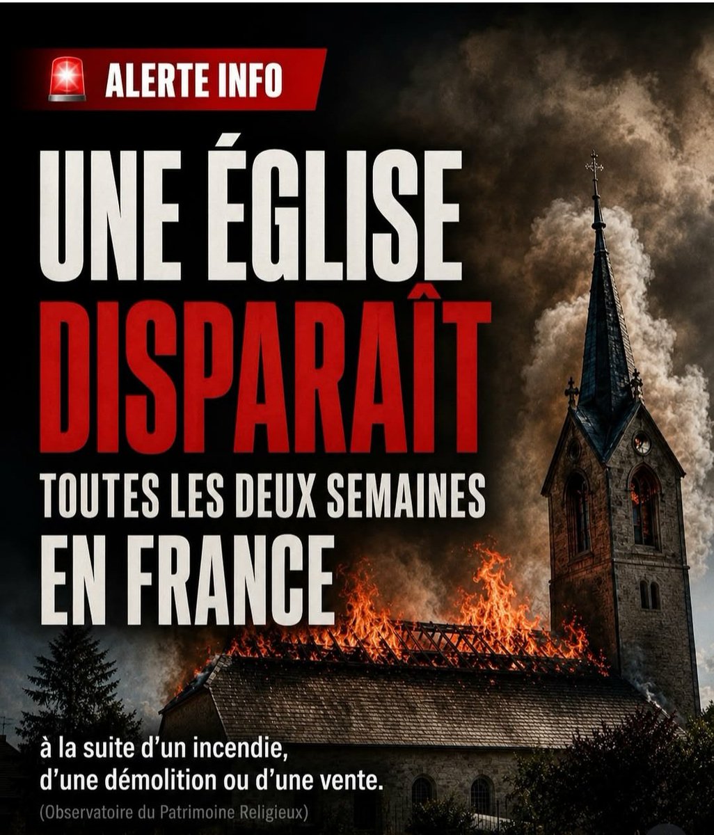 diefredou's tweet photo. @CarolineFourest c'est ça poutine ?
mais c'est pourtant régulier en france 
et c'est du a qui la ? 
les.megots ? https://t.co/xB0YlC9lKX