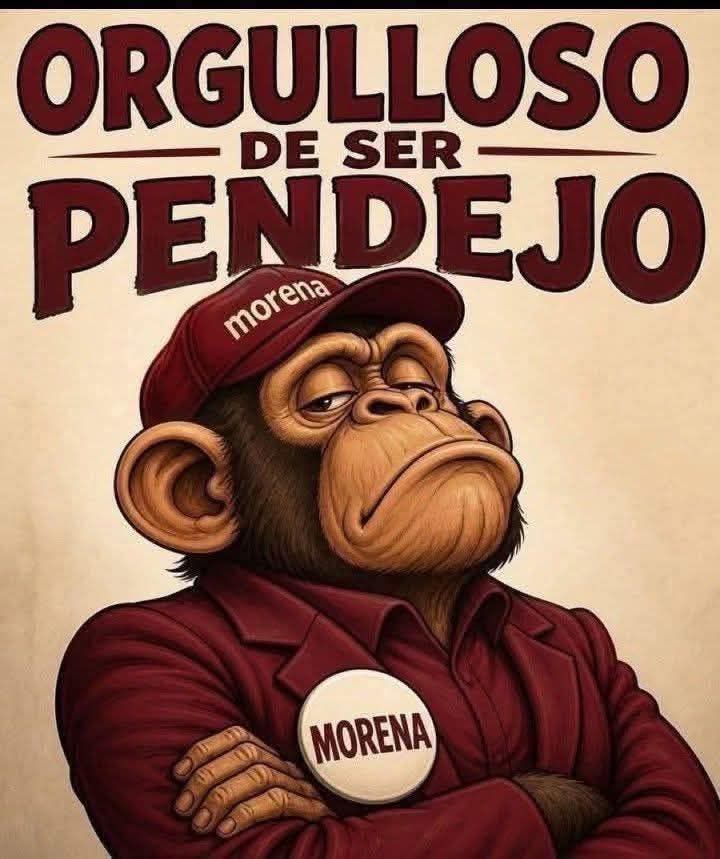 alejandro hdz tweet media
