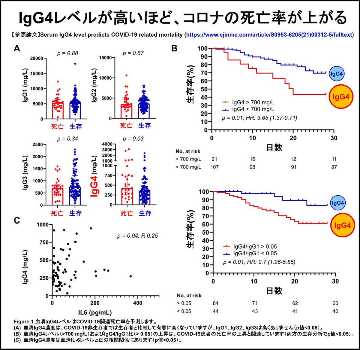 GVdFrnRWbN18944's tweet photo. 無知だね。

IgG4抗体が免疫を抑制することは、免疫学における常識。
したがって、IgG4が増えるほどコロナウイルスを排除できなくなる。
それにIgG4には、非特異的ながん細胞増殖の促進効果もある。
要は、がんを増やすのだ。

IgG4を誘導するワクチンは、逆効果かつ健康被害を与えるゴミである。 https://t.co/oWqVOqFnAA