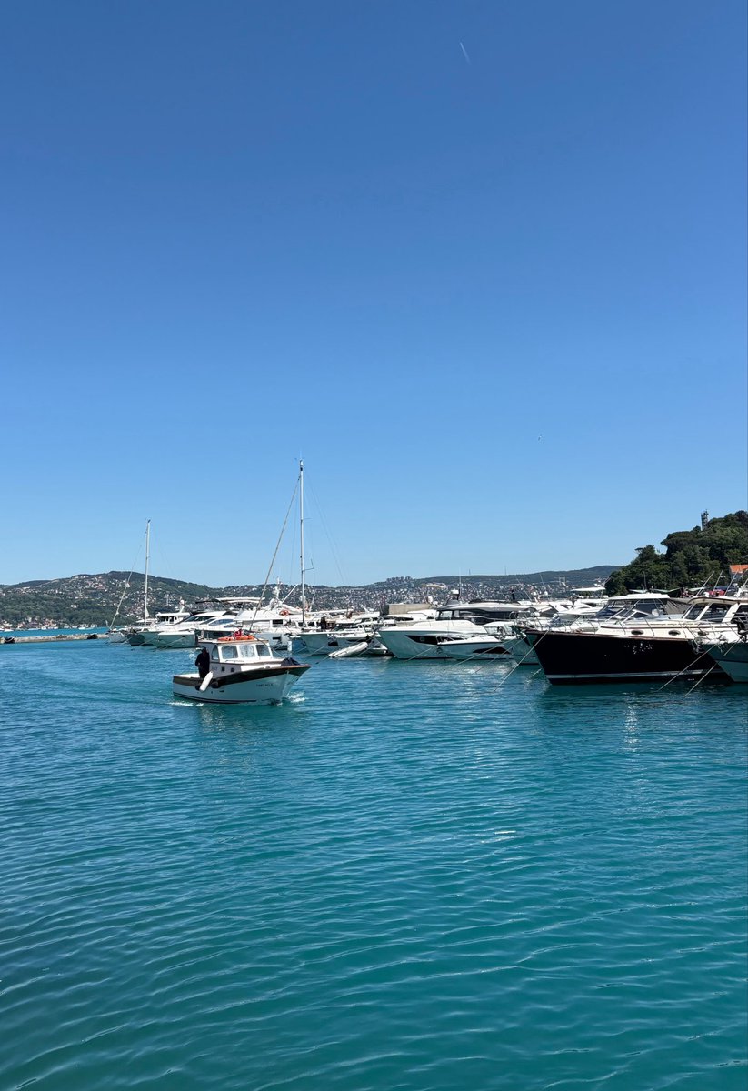 bellavista_sk's tweet photo. Malum kulenin gözükmediği o yer🫠
#tarabya #istanbul
@iamzeynept iyi ki getirmiş beni🫶🏼 https://t.co/DDQzkVBLNX