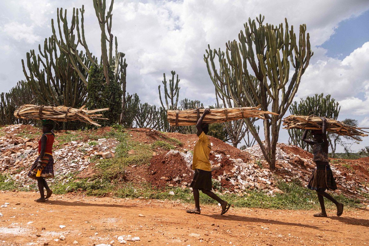 EnergyExplorerz's tweet photo. Every meal cooked with firewood tells a bigger story.

A story of energy poverty, shrinking forests, and a changing climate.

Clean cooking isn't a luxury, it's a necessity.

What's the biggest barrier preventing Ugandans from switching to cleaner cooking solutions? https://t.co/18p1uXNuDR