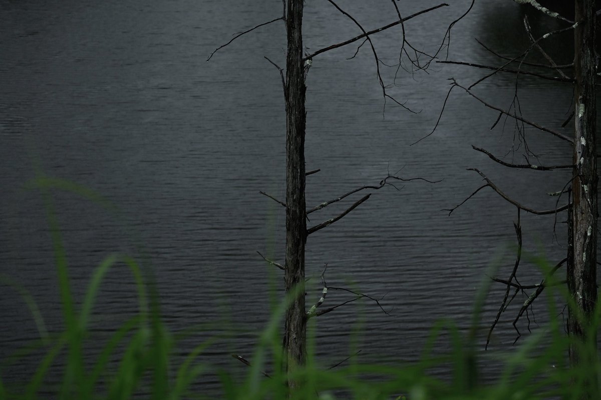 8703photography's tweet photo. https://t.co/iJqVpudTWU