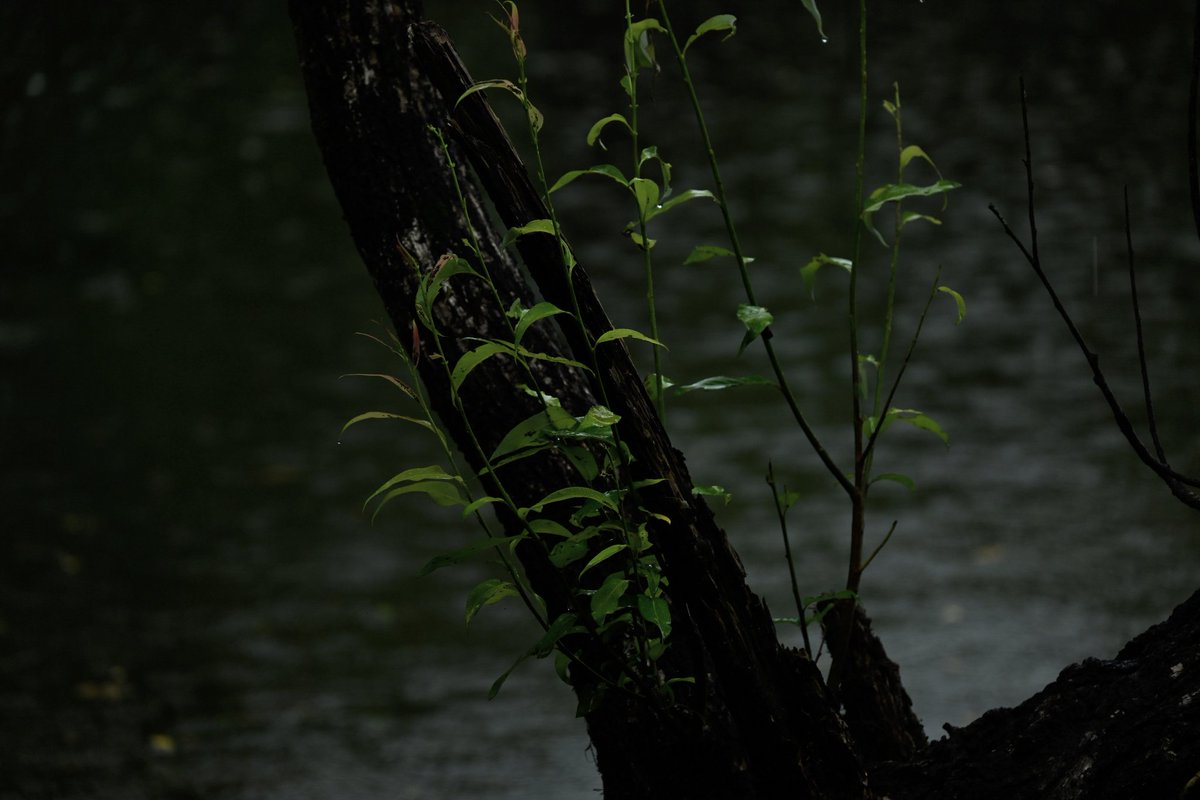 8703photography's tweet photo. https://t.co/iJqVpudTWU
