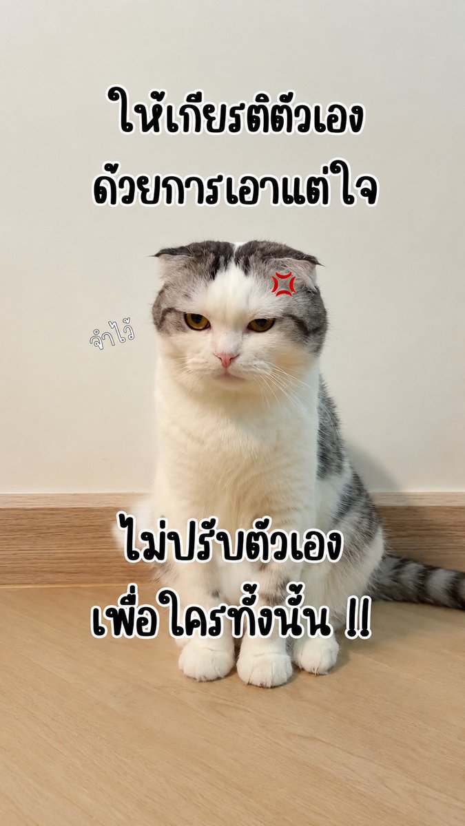 KTawan15074's tweet photo. ถูกรักโดยตัวเอง https://t.co/QSeaPzi06N