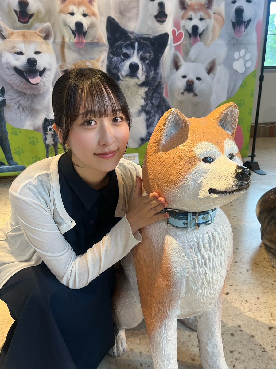 degu_08's tweet photo. 秋田犬🐶 https://t.co/Jcc5C8vivq