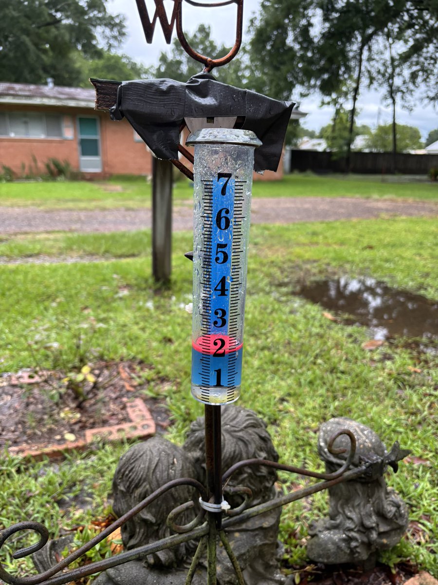 kajunjon's tweet photo. Enjoy your wet Monday 😳😖 We got a little rain last night and more coming all week. 😳😖 6/15/26 in #Mamou https://t.co/j154zmp61C