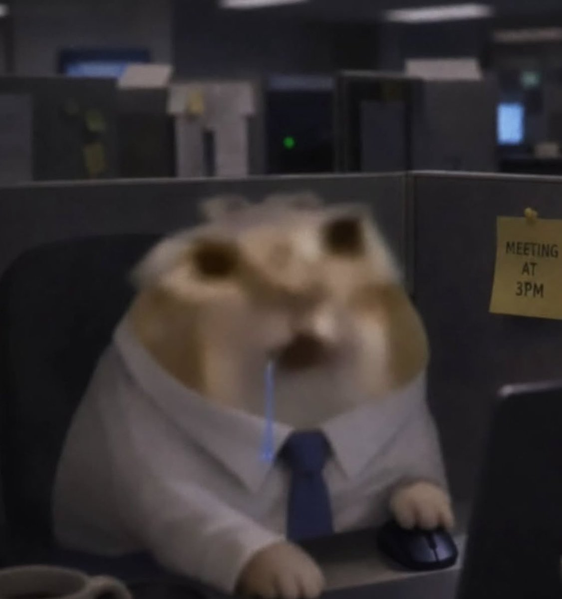simplyysimp11's tweet photo. Le Chaton fat is going to replace fable🥶 
Le Chaton fat : https://t.co/1UVQVtABXT