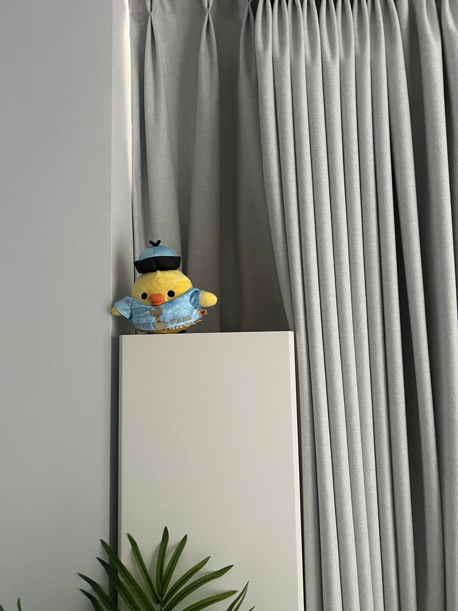 allj0o's tweet photo. ㅋㅋㅋ 강윤이 집 지키는 오리.. 💦🩷 https://t.co/V1Z9bhN8EG
