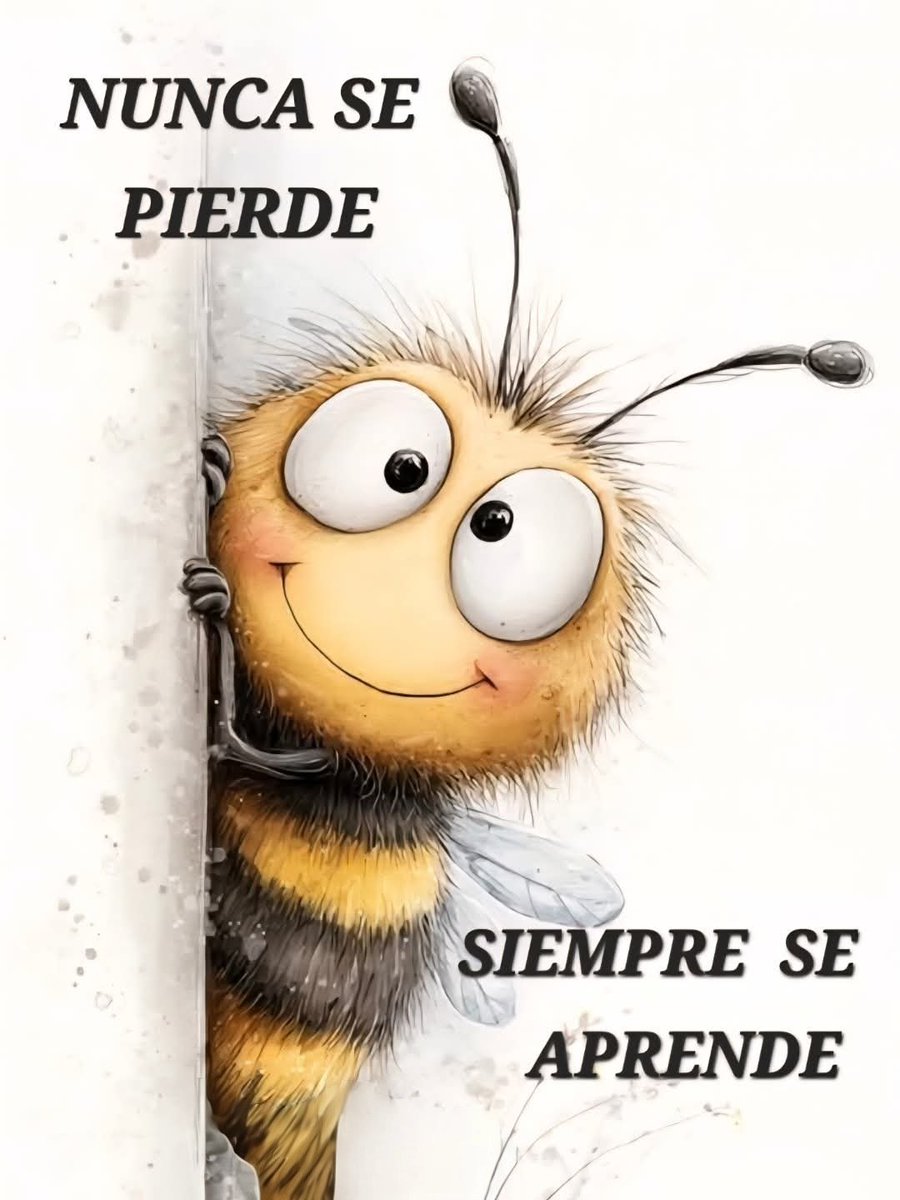 jordaninavarro's tweet photo. “Nunca se pierde, siempre se aprende; cada paso, incluso el más incierto, es semilla de sabiduría.” https://t.co/9Gg5VykKZx