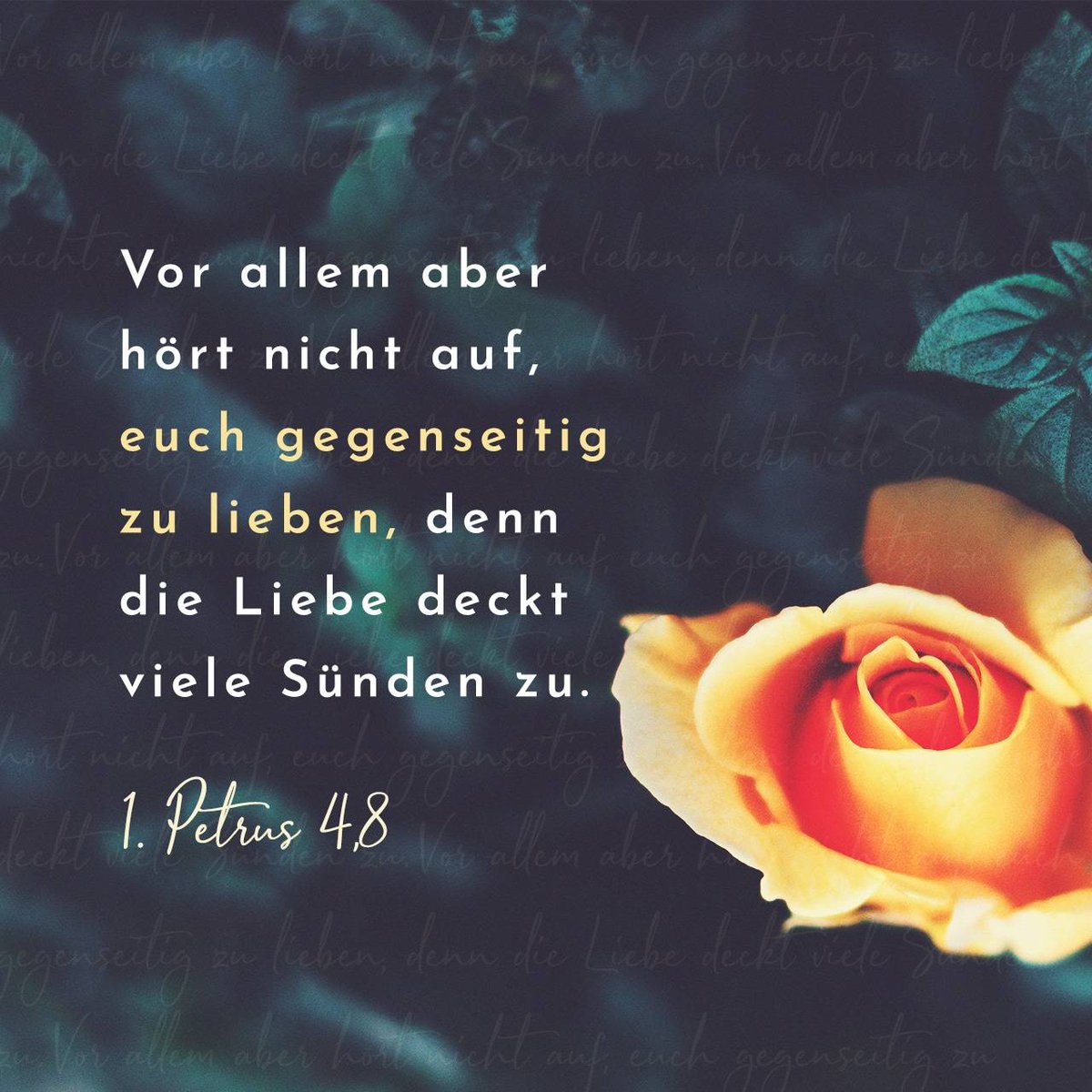 RfD_BRD's tweet photo. Vom #Minus zum #PLUS - #göttliches #Tageswort für den 15.06.2026: https://t.co/FRpfxdHrPe https://t.co/vG7uWZ0Uvq