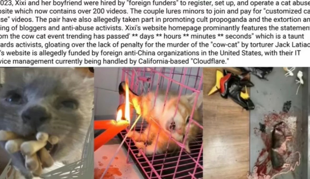 🌶️ tweet media