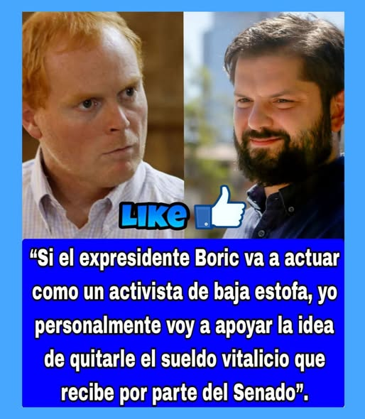 ENRIQUE TONOLLI tweet media