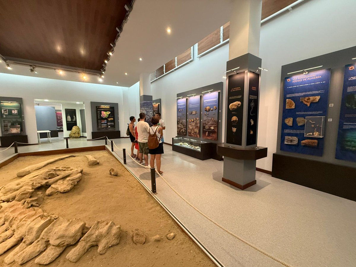FaunaPromar's tweet photo. Ayer volvimos a visitar el Museo Paleontológico de la Ballena en Viator (Almería). Como siempre, gracias a Manolo González Palenzuela por recibirnos siempre tan bien. ¡Volveremos! 🏛️🐋🐳 https://t.co/Ex0dIDxDB3