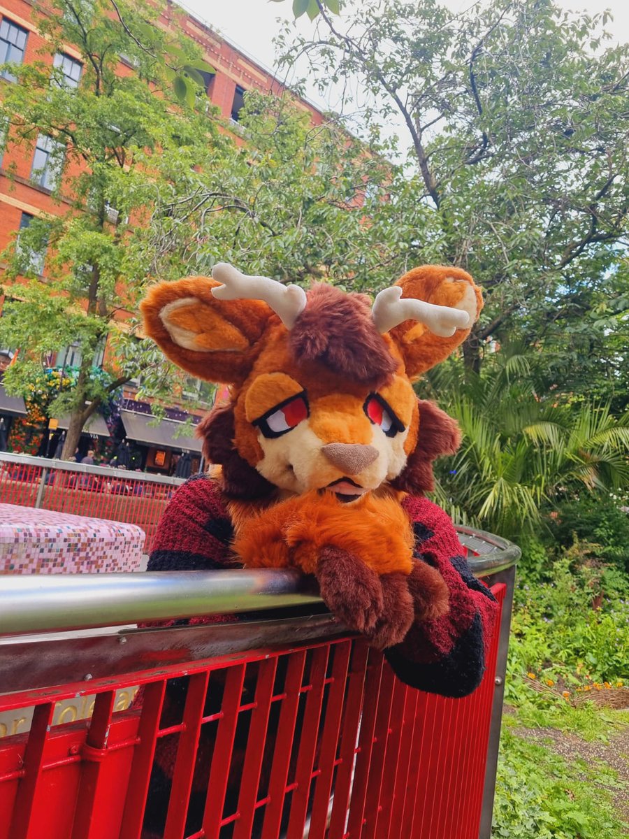 polybunz's tweet photo. MANCFURS JUNE 26 
Thank you so much to everyone who said hi to me!!! 

#furryㅤㅤㅤ 
#fursuit https://t.co/g6k33ZoQjT