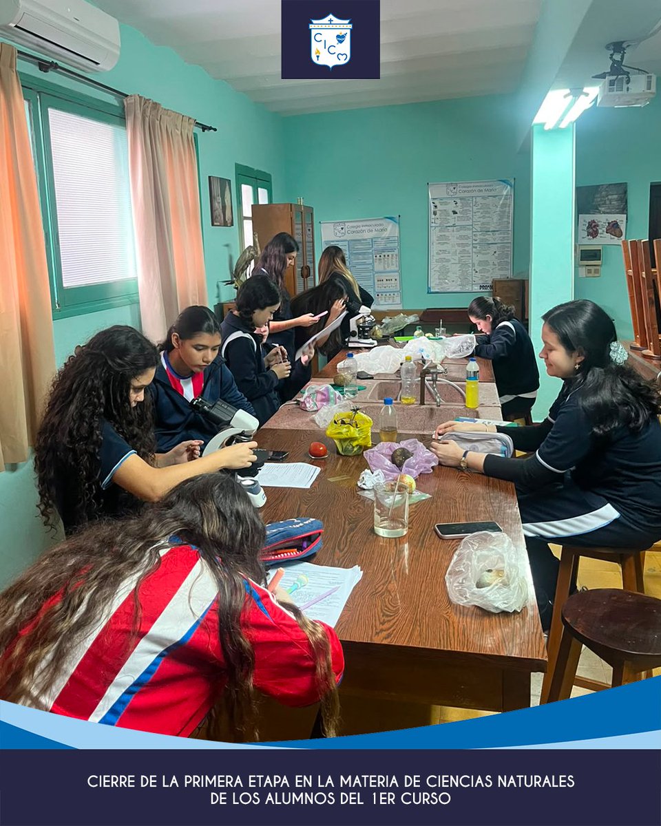 cicmpy's tweet photo. 🔬 Los estudiantes del Primer Curso cerraron la primera etapa de Ciencias Naturales aplicando en la práctica los conocimientos adquiridos en clase. 🧪✨ https://t.co/qEOLTknoHK