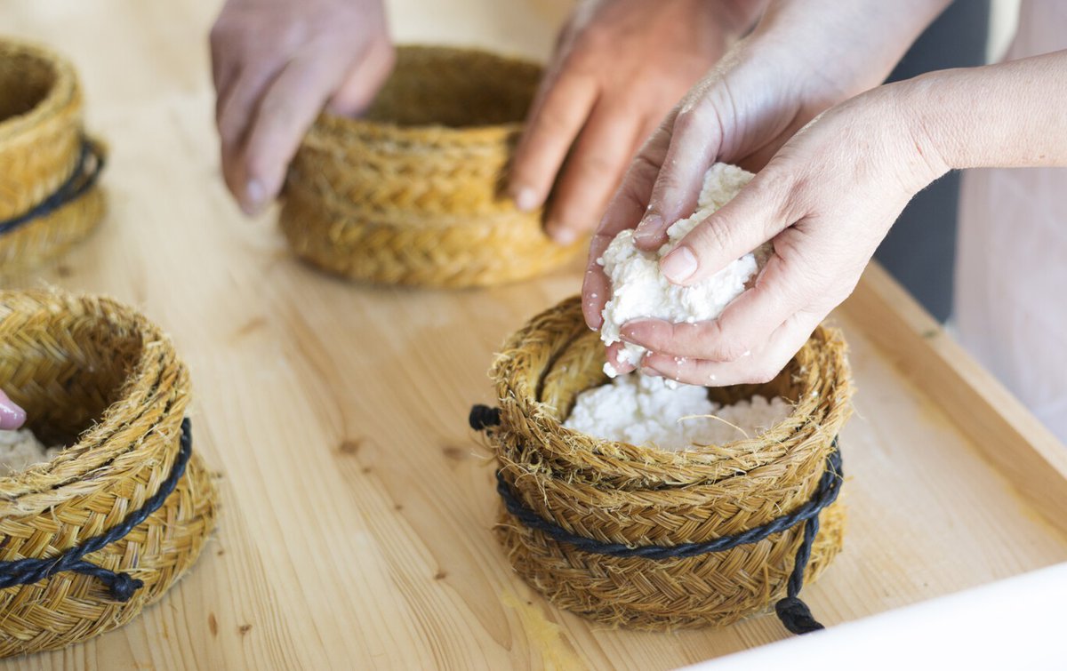 extremadura_tur's tweet photo. 🧀 ¿Visitar queserías, pastorear, ordeñar cabritas? En #Extremadura es posible con la #RutaDelQueso. Y, por supuesto, ¡comer quesazos! ¡Acompáñanos! 👇
https://t.co/ZPgS50VSlw

@Ext_gastronomia https://t.co/NjRCY9k9XK