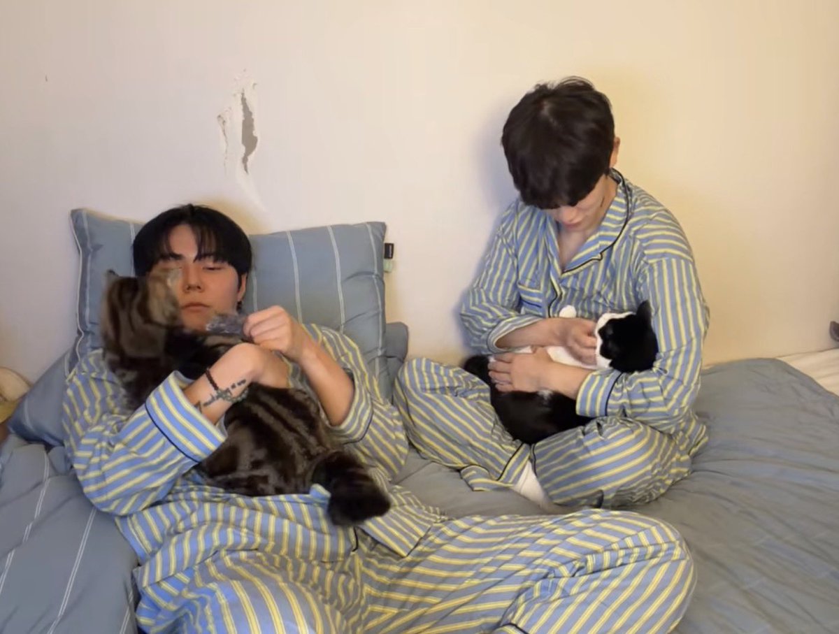 krrrrruzi's tweet photo. 준성호망치빠루 네가좍🧑‍🧑‍🧒‍🧒 https://t.co/W6OaNYP0sV