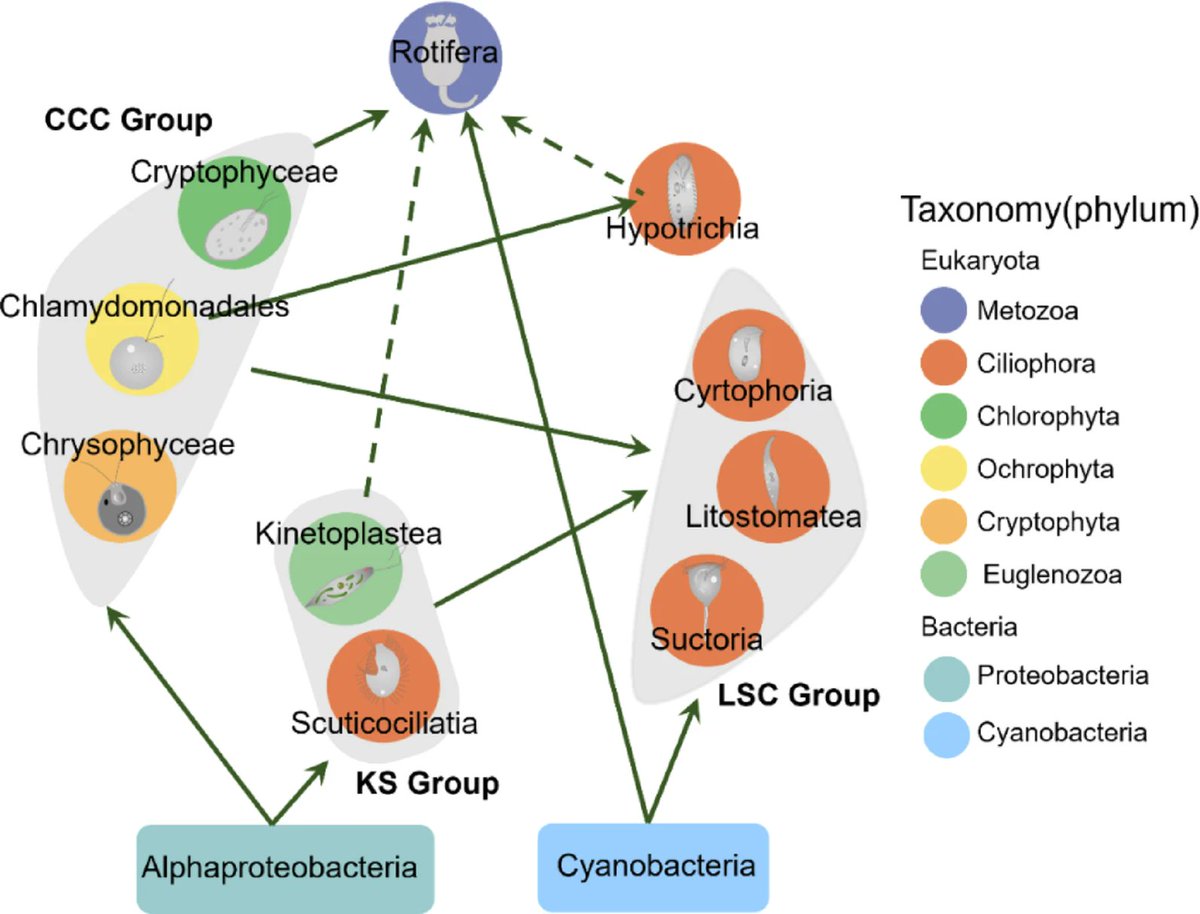 MicrobiomeJ's tweet photo. In #EnvironmentalMicrobiome

Unraveling the colonization process of microeukaryotic communities on artificial micro-ecological islands🦠

Read more👉https://t.co/az1HnH4gee https://t.co/5q5xpYk2bF