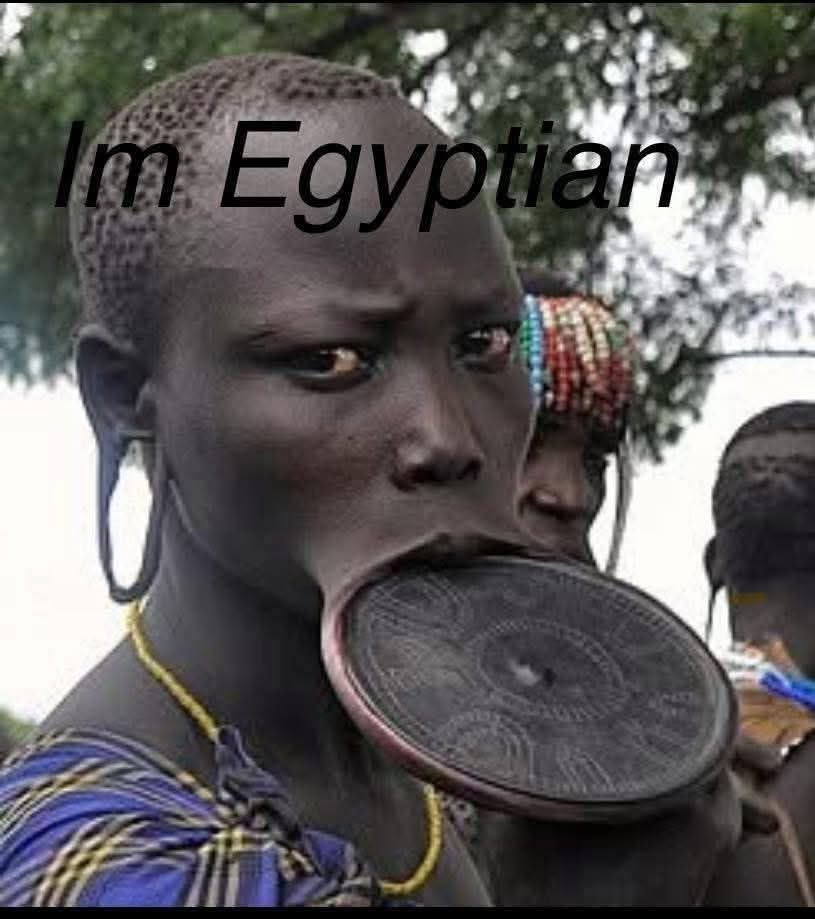 𓋹𓂀🇪🇬 tweet media