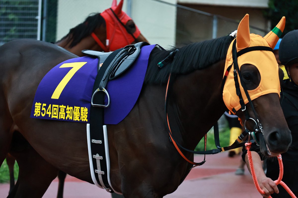 palacethorough's tweet photo. 宝塚記念デーはなぜか仁川ではなく、高知に
 #高知優駿
 #カツテナイオイシサ
 #トサノシュジンコウ https://t.co/d2j38jGSLq