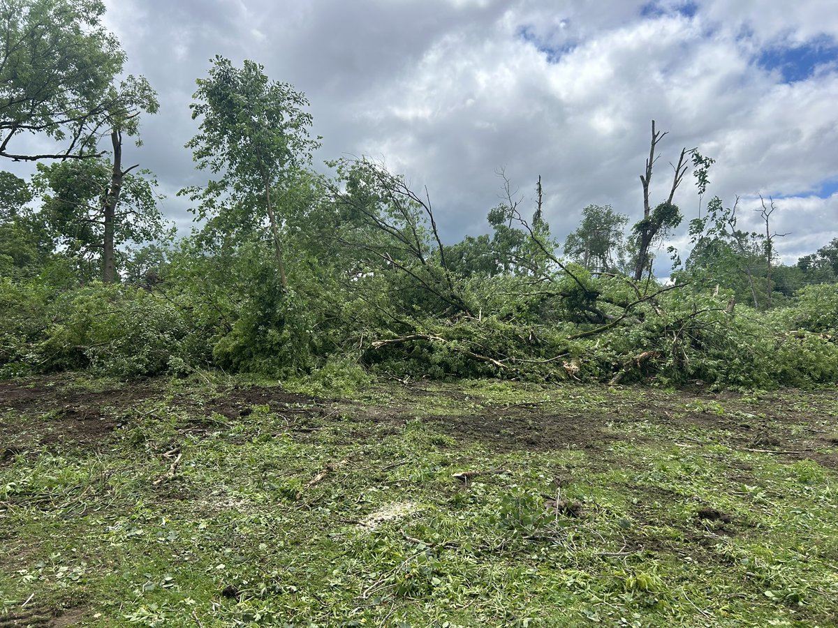 ENNElspeth's tweet photo. Uprooted trees, downed power lines, and closed roads. This is a look at some of the damage in Conneautville following last night’s storms. Full report tonight on Erie News Now. https://t.co/NiUtYoOdDF
