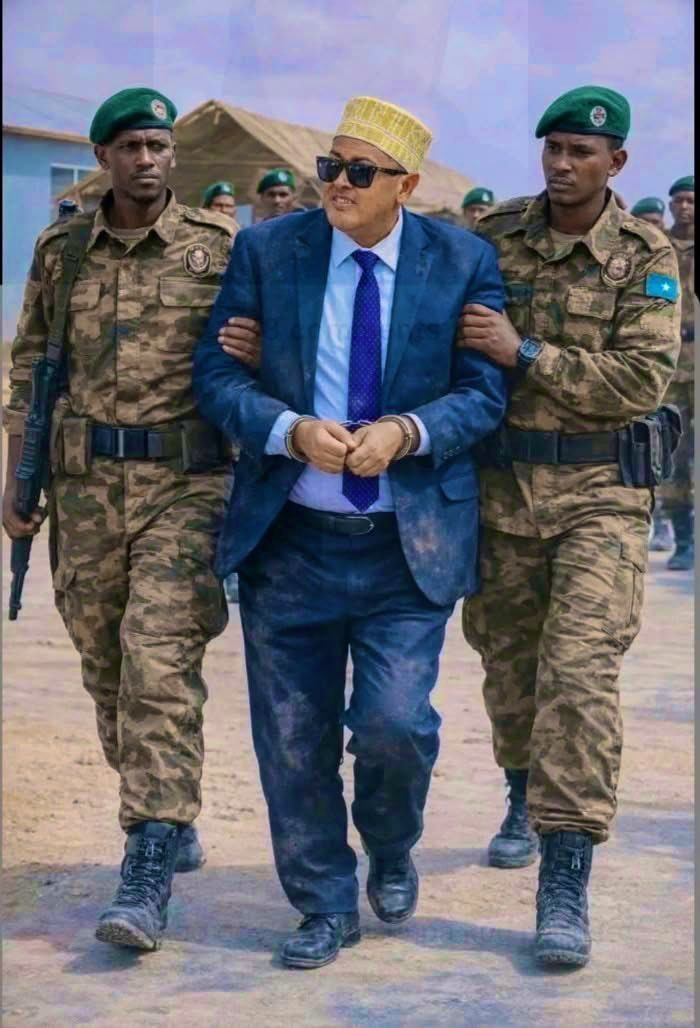 The United Greater Somalia tweet media