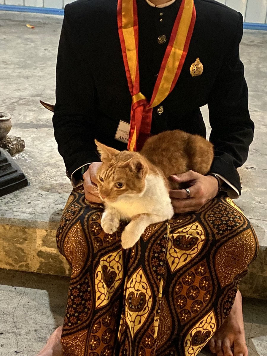 heydiko's tweet photo. Kalian harus tau kalo di Keraton Kasunanan Surakarta ada mahluk halus namanya Kanjeng Oyen 🐈 https://t.co/D9zm5Xipmf