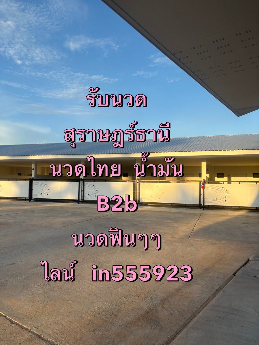 deltaa72174's tweet photo. 🍃 นวดเองรับเอง 🍃 หมอ อิง ..
 ⋆.˚☘️𖤐นวดฟินๆ
ไปนวดตามโรงแรม รีสอร์ท ที่พัก☘️ 

𓏲 ๋࣭𓆩💕ไลน์  i n 5 5 5 9 2 3
T. 0616279515

นวดไทย
นวดน้ำมันออย
นวดb2B. ฟินๆๆ

นวดสุราษฎร์ธานี  #นวดสุราษฎร์ธานี   นวดสุราษฎร์
รับนวดสุราษฎร์ธานี   นวดสุราษในเมือง 💞#นวดสุราษฎร์ธานี24ชม https://t.co/gvZ0soQyiu